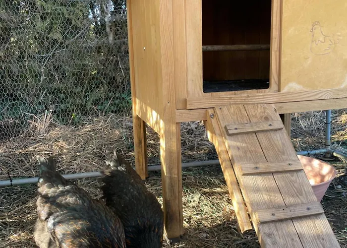 Maison De Village Family Friendly - Doucier